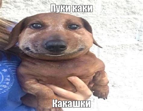 Мем: "Пуки каки Какашки" - Все шаблоны - Meme-arsenal.com