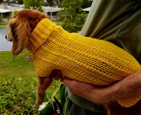 Diy Dog Sweater Pattern Free - Printables