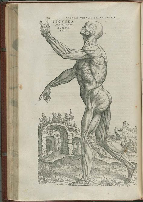 Historical Anatomies on the Web: Andreas Vesalius Home