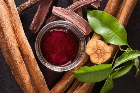 What Is Ayahuasca? Experience, Benefits, and Side Effects - The Plant ...