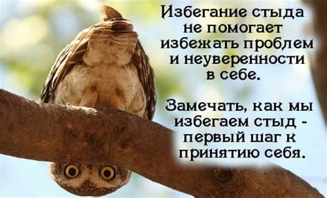 Картинки мне стыдно (50 фото) • Klike.net