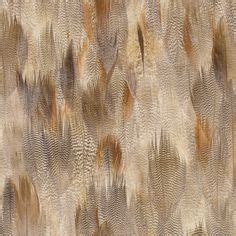 Experience the beauty of birds in stunning new wallcoverings from MDC ...