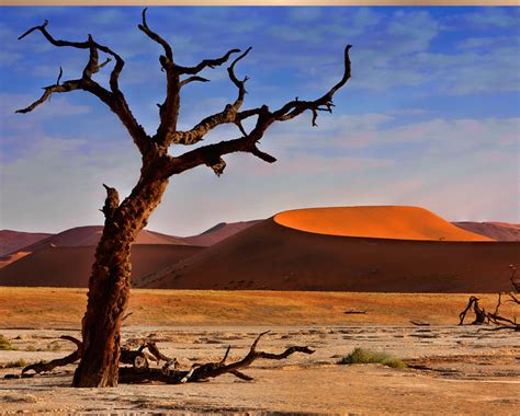 tanzania travel destination adore africa