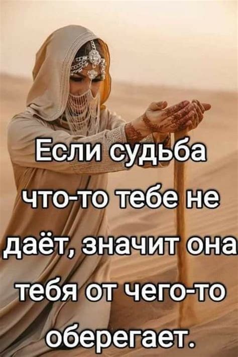 Pin auf Цитаты и Афоризмы | Lebensweisheiten sprüche, Sprüche zitate ...