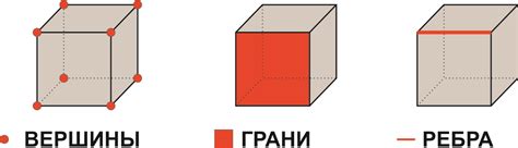 Кубики. Развёртки — Шаг 1 — Stepik
