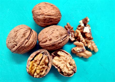 Walnut | Health Benefits, Uses & Nutrition Facts