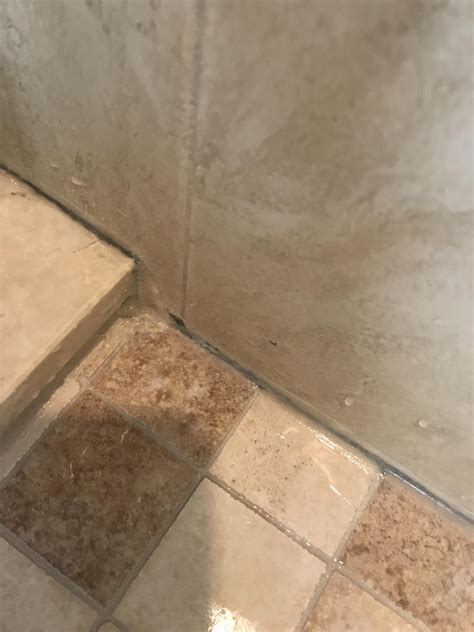 How To Clean Mold On Caulk In Shower at Gilberto Morales blog