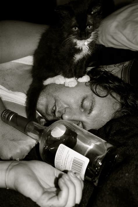 18 People and Animals That Had a Really Rough Night