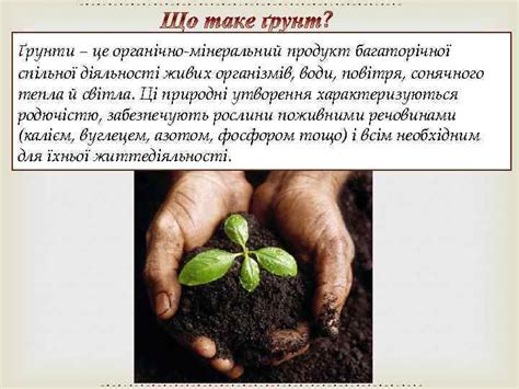 Грунт Екологічні проблеми грунту Підготували учениці 10 -Б