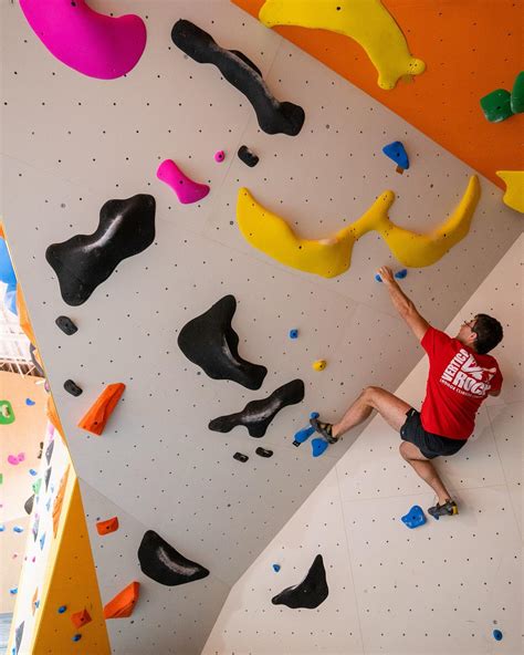 Fort Worth Stockyards Petting Zoo - INTRODUCING.....”Tank” He is so big