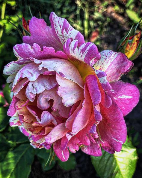 Ksyusha | 🌺🌺🌺🤗🤗🤗 | Instagram