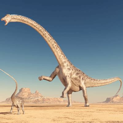 Diplodocus Facts for Kids