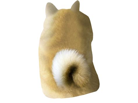 le  doge   arrived rdogelore