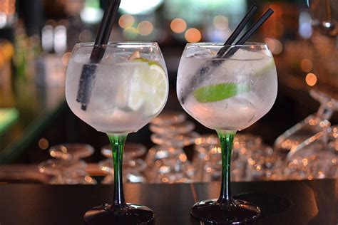 What is Gin? An Expert Guide For Everyone