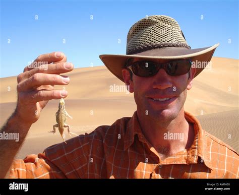 Shovel Snouted Lizard/Sand Diving Lizard bites a man in his finger ...