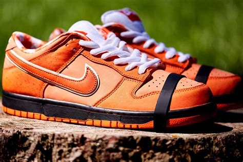 snkrs release date concepts  nike sb dunk  orange lobster