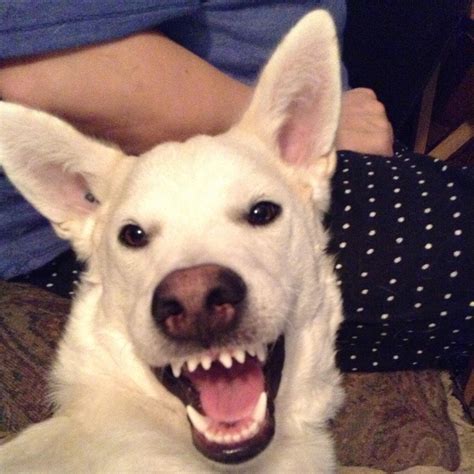 Obituary: Honoring the Life of Louise Weezy Zilinski