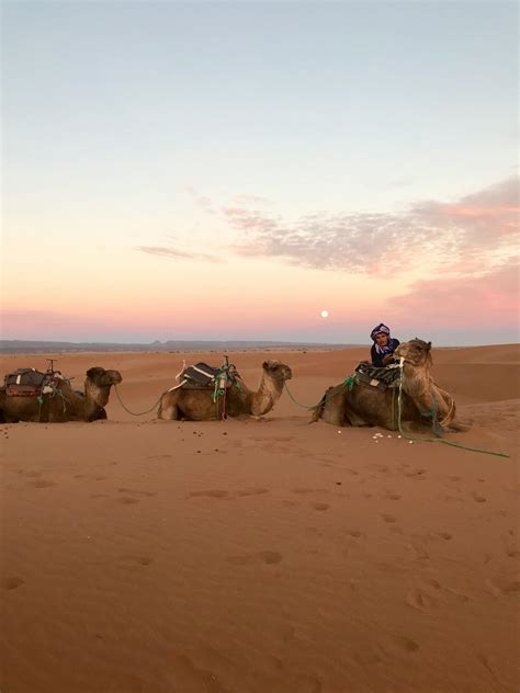 Marrakech Photos, Download The BEST Free Marrakech Stock Photos & HD Images