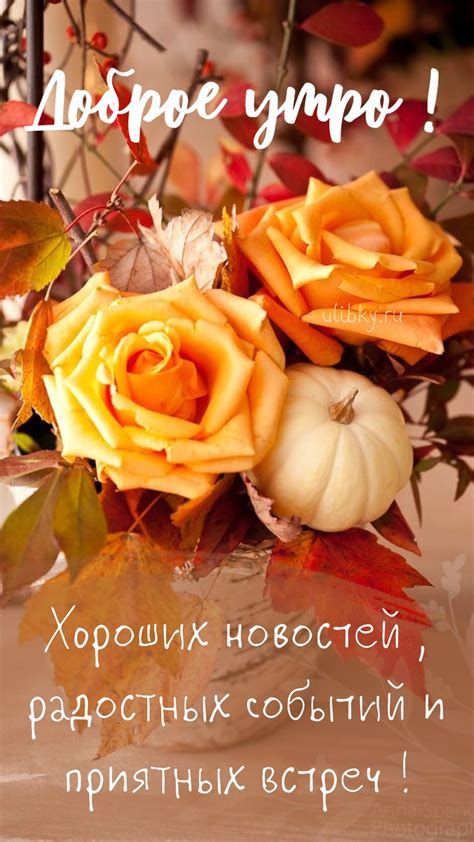 Доброе утро ноября (95 открыток)