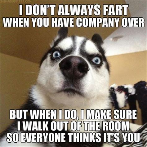 Dog Fart Quotes. QuotesGram
