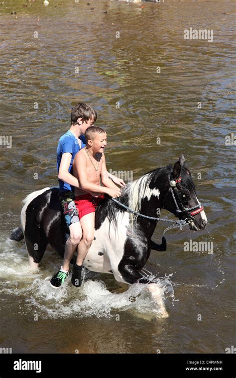 Gypsy boys swimming a horse at the Appleby Horse Fair, Appleby-In ...