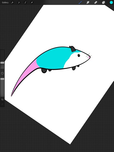 time drawing      possum oc