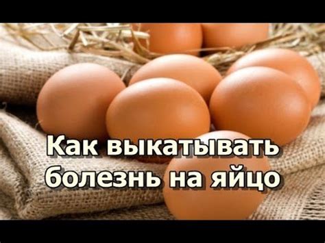 Как выкатывать болезнь на яйцо - YouTube