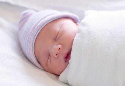 anatomi bayi   lahir  halaman