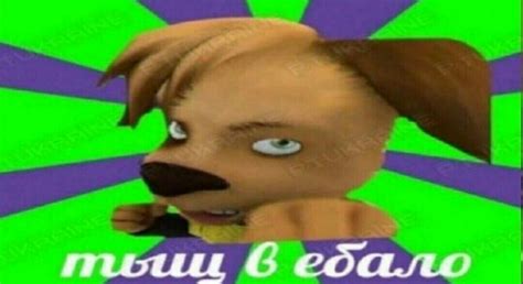 Тыщ, лови подачу | Funny cute memes, Cute memes, Really funny memes
