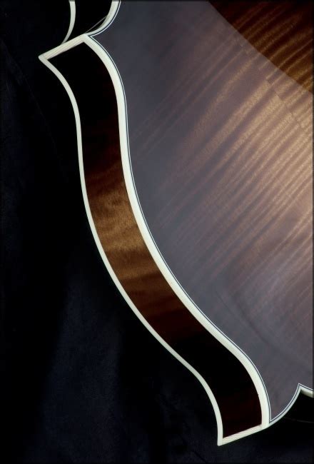 F5 Standard | Průcha Bluegrass Instruments