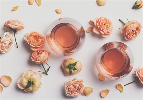 Vino & hrana: VALENTINOVO – Evino Blog