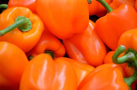 orange pepper  stock photo public domain pictures