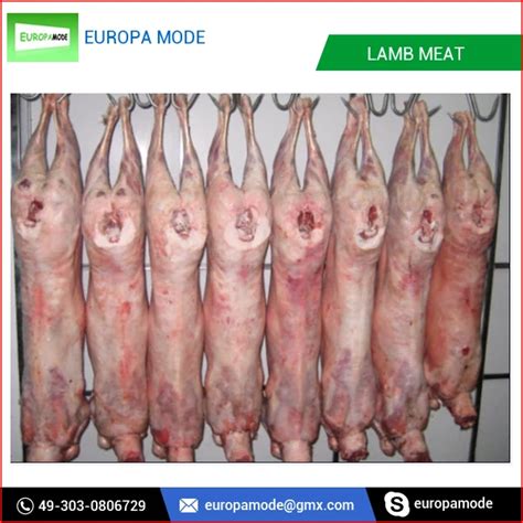 branded quality  lamb carcass   rate buy lamb carcass