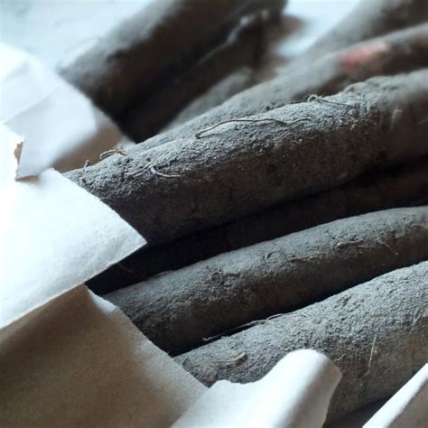 long  cook black salsify boilingtimecom