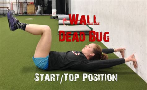 dead bug exercise  athletes physique