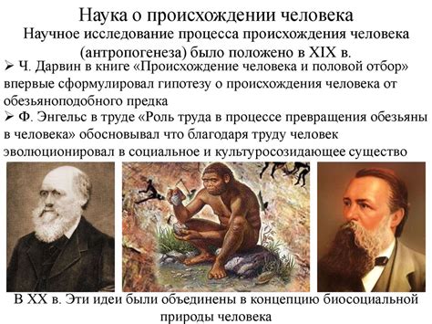 Происхождение человека и становление общества - online presentation