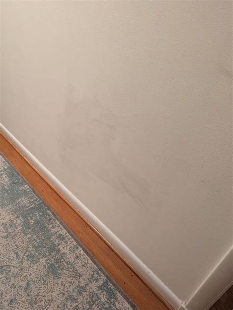 Cleaning water stains from wall? : r/CleaningTips