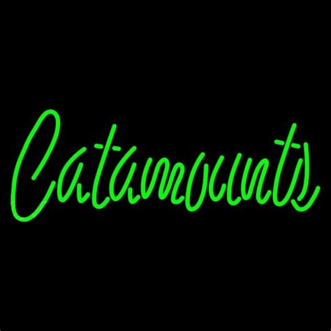 Custom Vermont Catamounts Wordmark 1998 Pres Logo Ncaa Neon Sign Neon ...