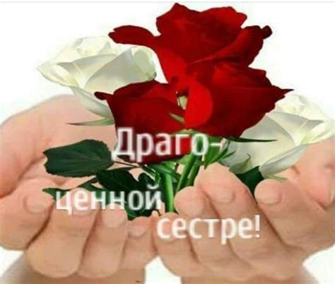 JW - Всемирное братство