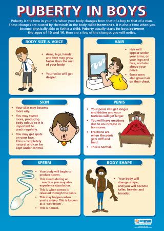 Pin on Puberty Poster