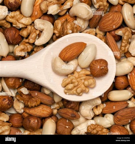 Nusse hi-res stock photography and images - Alamy