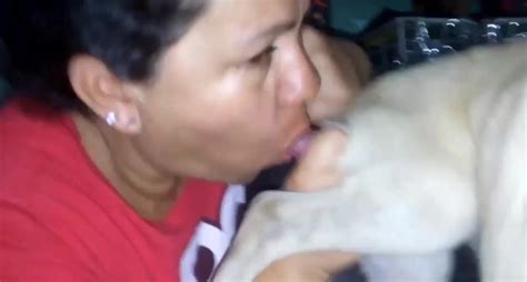 mature asian sucking stray dog