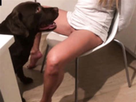 Search Results for veronica silesto summer party porno - CamWhoresHD.COM