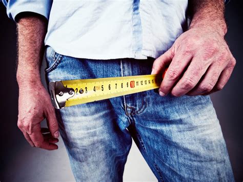 study finds   average size   penis