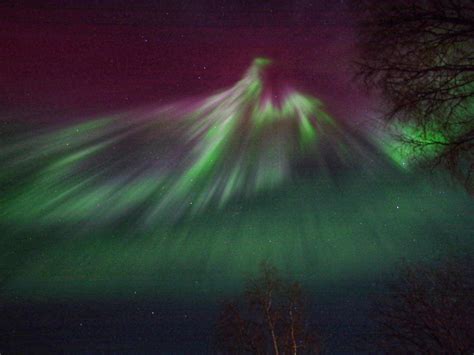 Northern lights made a phoenix on the sky : BeAmazed