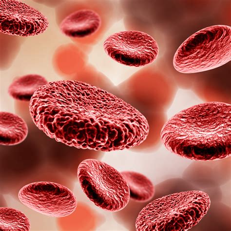 High RDW: what does it mean? - Ambar Lab