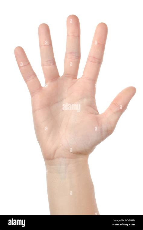 Human hand isolated Stock Photo - Alamy