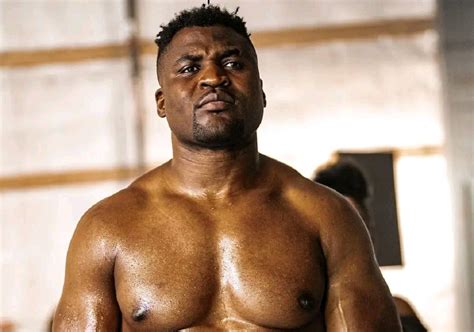 Francis Ngannou : Avenir en Boxe et MMA