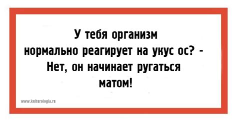24 юмористических открытки для поднятия настроения