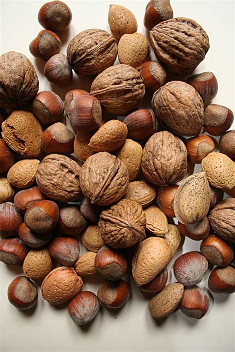 Nut Nuts Food - Free photo on Pixabay
